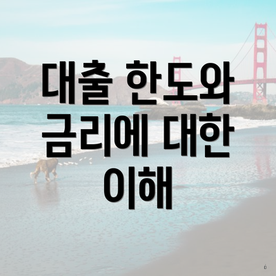 대출 한도와 금리에 대한 이해