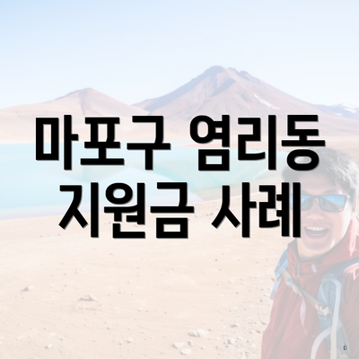 마포구 염리동 지원금 사례