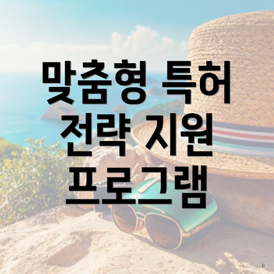맞춤형 특허 전략 지원 프로그램