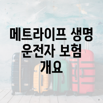 메트라이프 생명 운전자 보험의 주요 보장 내용