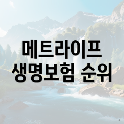 메트라이프 생명보험 순위