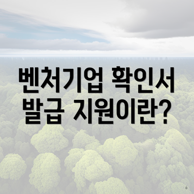 벤처기업 확인서 발급 지원이란?