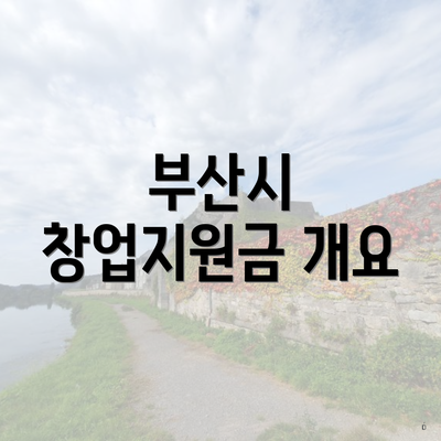 부산시 창업지원금 개요