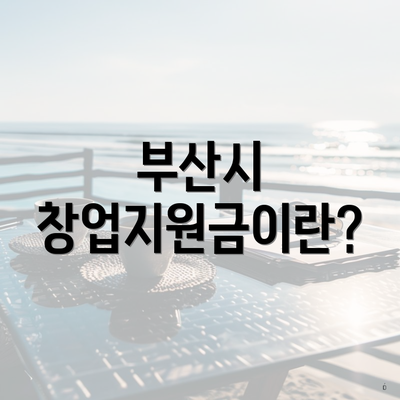 부산시 창업지원금이란?