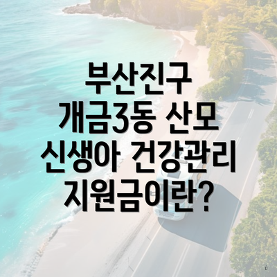 부산진구 개금3동 산모 신생아 건강관리 지원금이란?