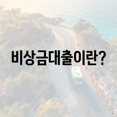 비상금대출이란?