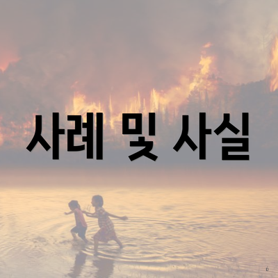 사례 및 사실