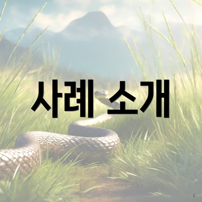 사례 소개