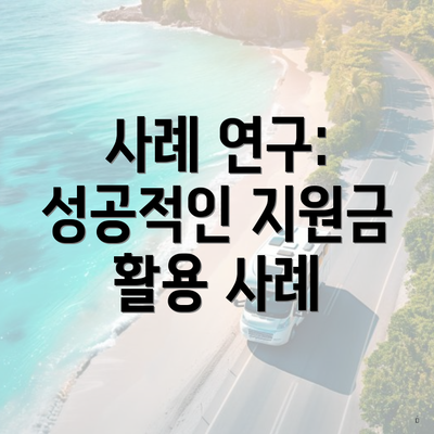 사례 연구: 성공적인 지원금 활용 사례