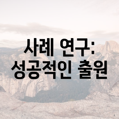 사례 연구: 성공적인 출원