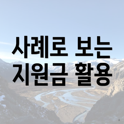 사례로 보는 지원금 활용