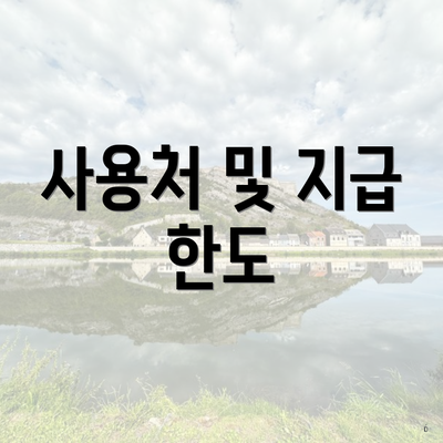 사용처 및 지급 한도