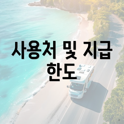사용처 및 지급 한도