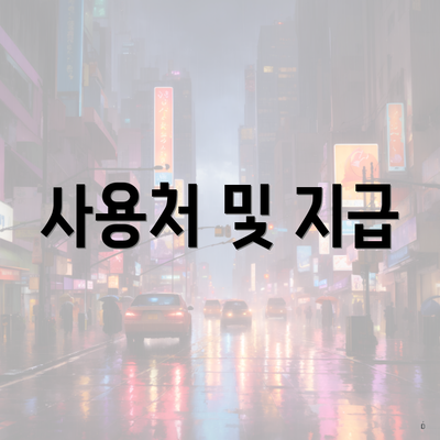 사용처 및 지급