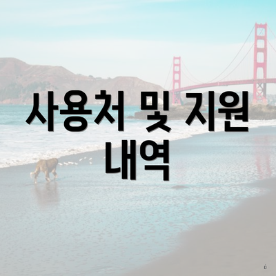 사용처 및 지원 내역