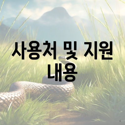 사용처 및 지원 내용