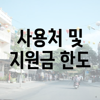 사용처 및 지원금 한도