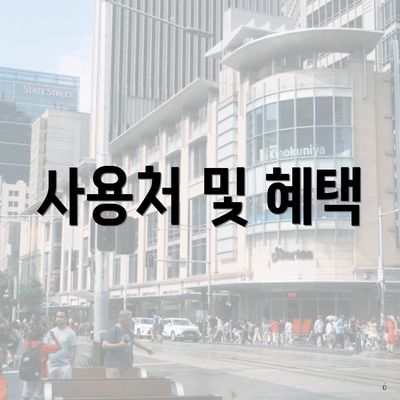 사용처 및 혜택