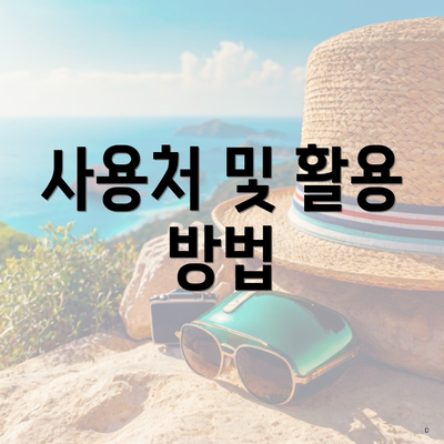 사용처 및 활용 방법