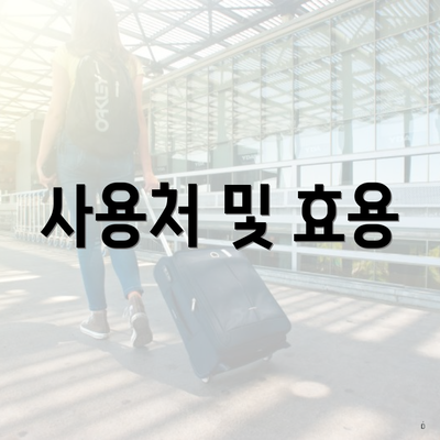 사용처 및 효용
