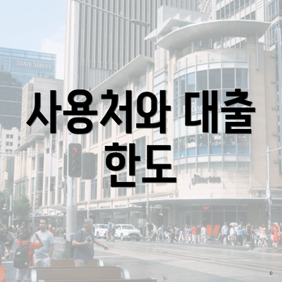 사용처와 대출 한도