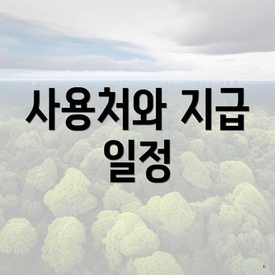사용처와 지급 일정