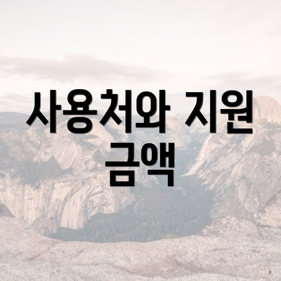 사용처와 지원 금액