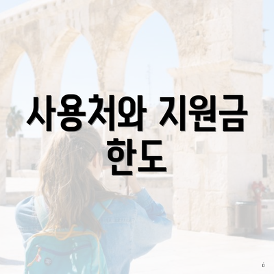 사용처와 지원금 한도