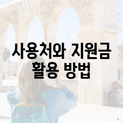 사용처와 지원금 활용 방법