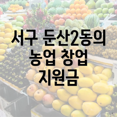 서구 둔산2동의 농업 창업 지원금