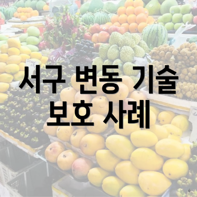 서구 변동 기술 보호 사례
