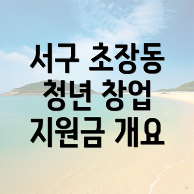 서구 초장동 청년 창업 지원금 개요
