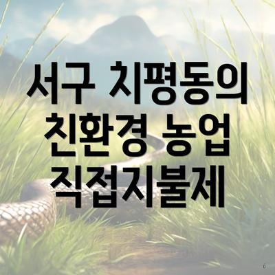 서구 치평동의 친환경 농업 직접지불제