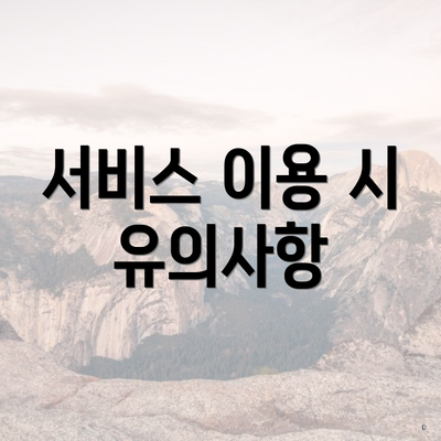 서비스 이용 시 유의사항