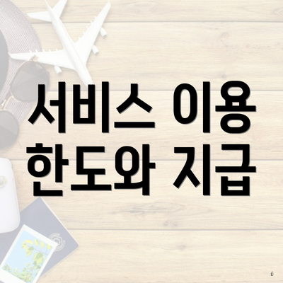 서비스 이용 한도와 지급