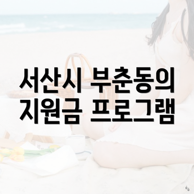 서산시 부춘동의 지원금 프로그램