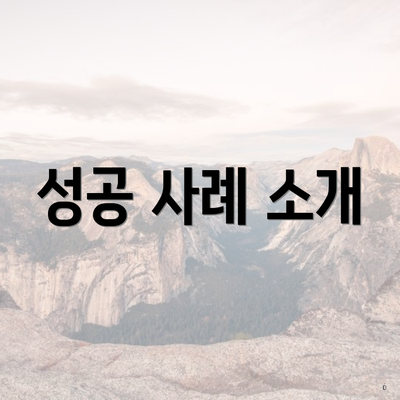 성공 사례 소개