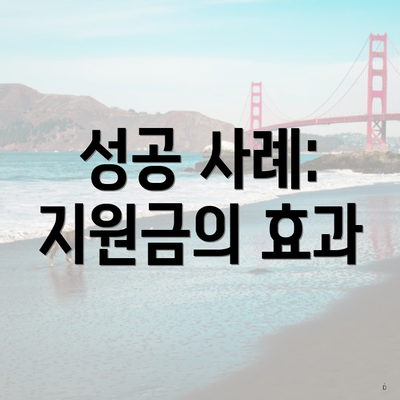 성공 사례: 지원금의 효과