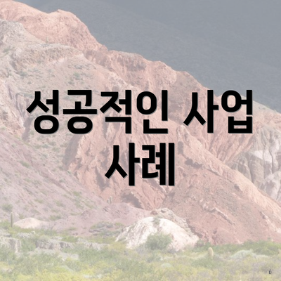 성공적인 사업 사례