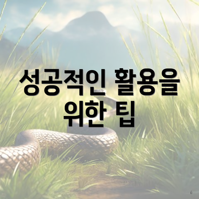 성공적인 활용을 위한 팁