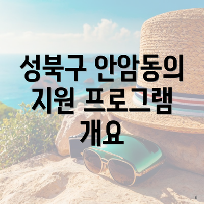 성북구 안암동의 지원 프로그램 개요