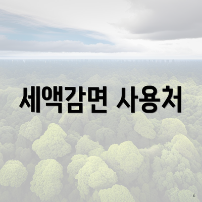 세액감면 사용처