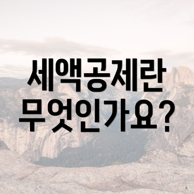 세액공제란 무엇인가요?