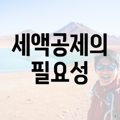 세액공제의 필요성