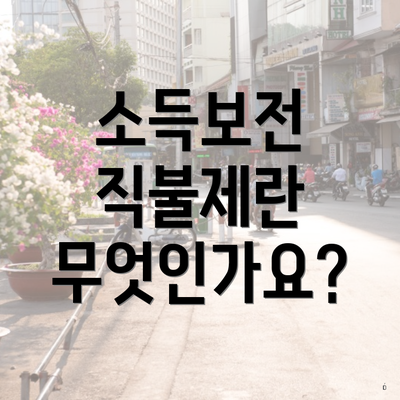 소득보전 직불제란 무엇인가요?