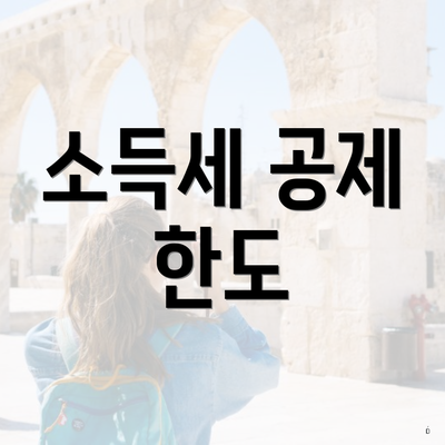 소득세 공제 한도