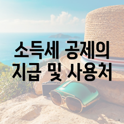 소득세 공제의 지급 및 사용처
