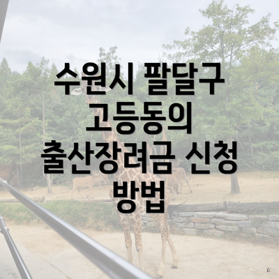 수원시 팔달구 고등동의 출산장려금 신청 방법