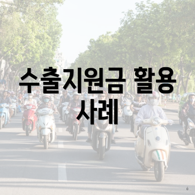 수출지원금 활용 사례