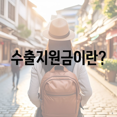 수출지원금이란?